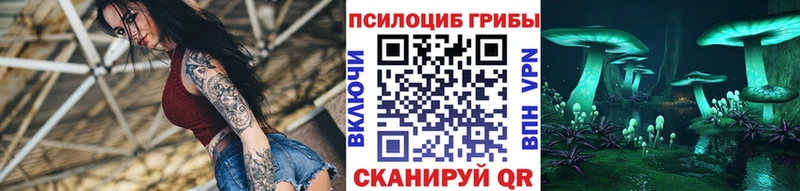 ссылка на мегу зеркало  цены наркотик  Рыбное  Псилоцибиновые грибы Magic Shrooms 